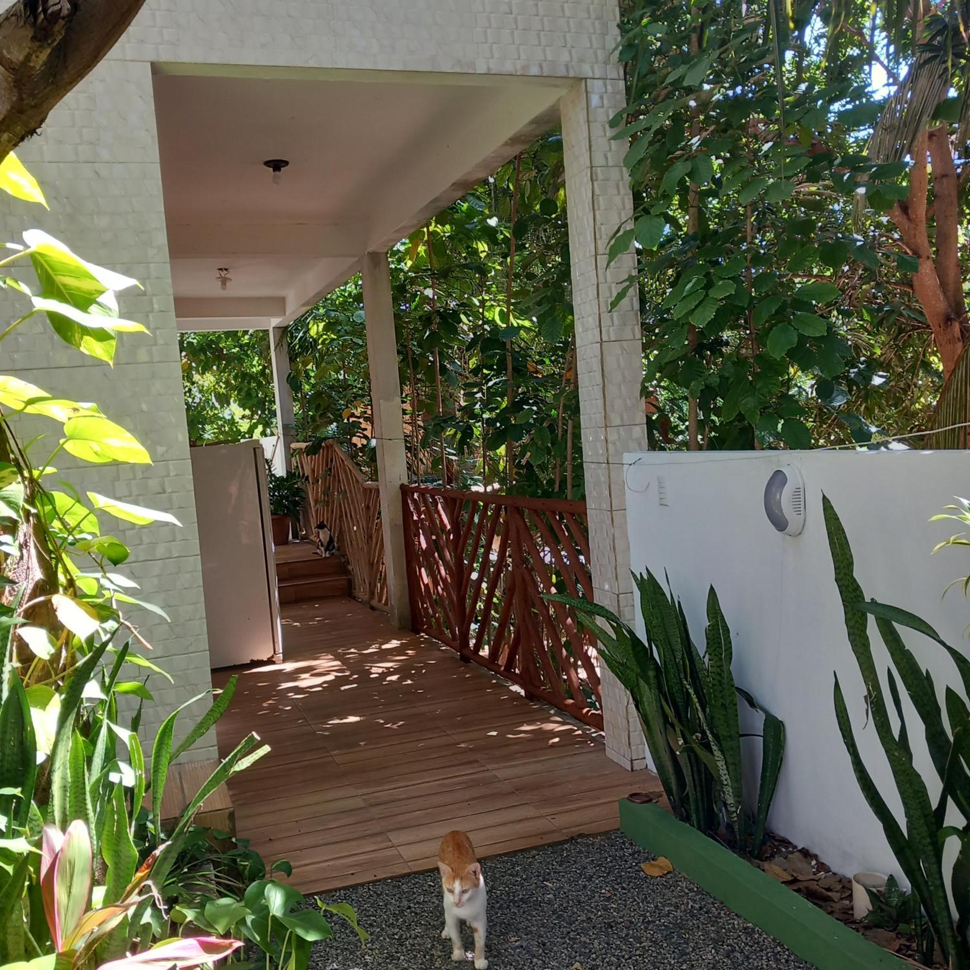 Casa Da Andrea Homestay