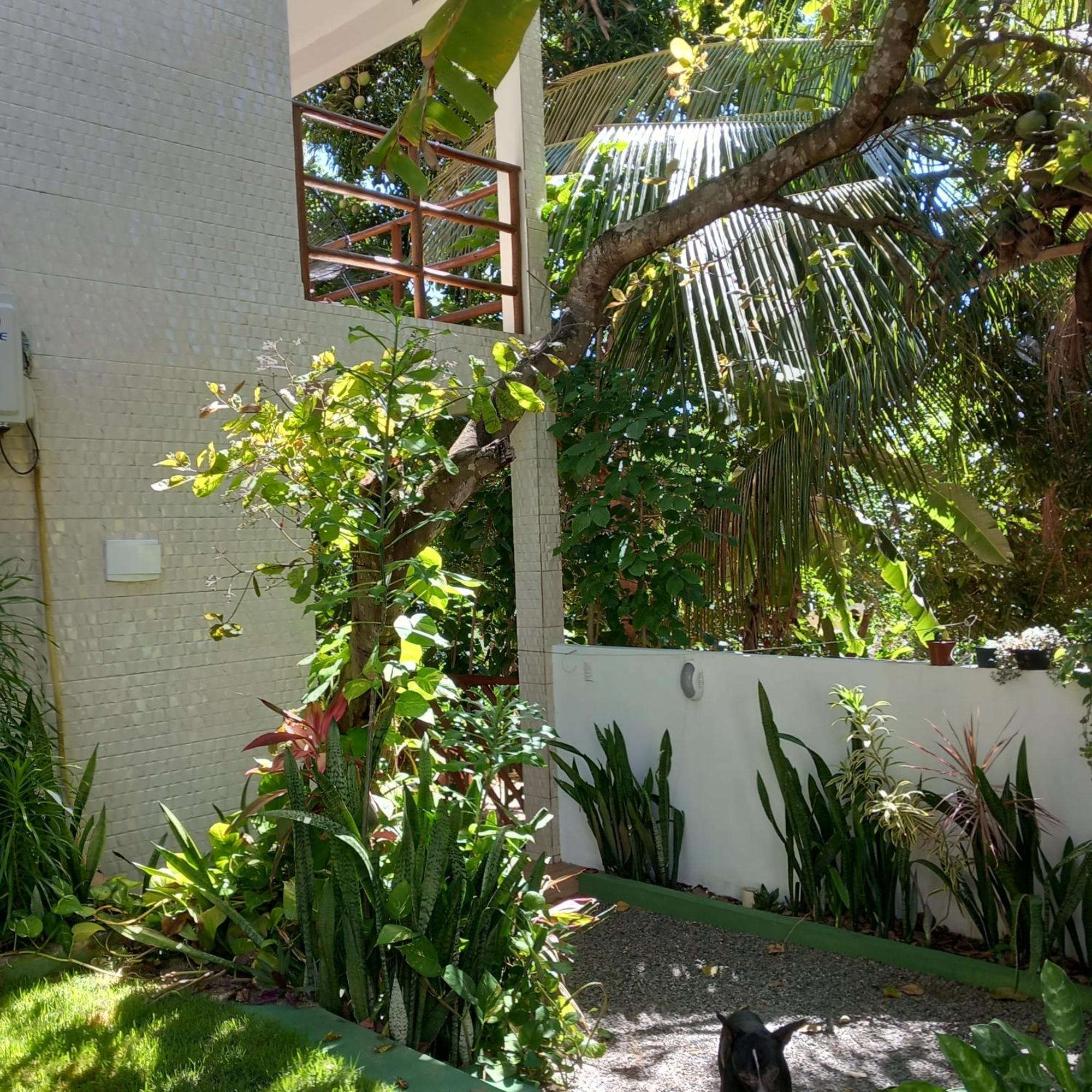 Casa Da Andrea Homestay